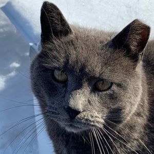 Meet your Posher, Isabelle